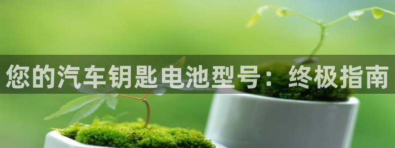 优发国际游戏