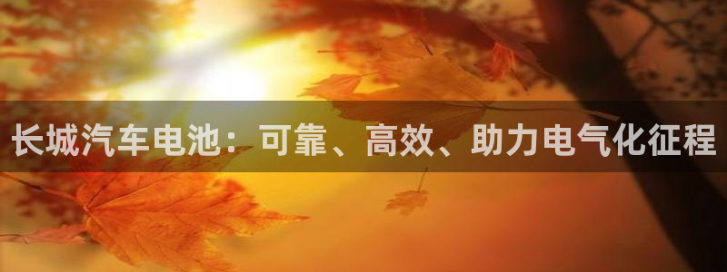 优发国际 干什么的