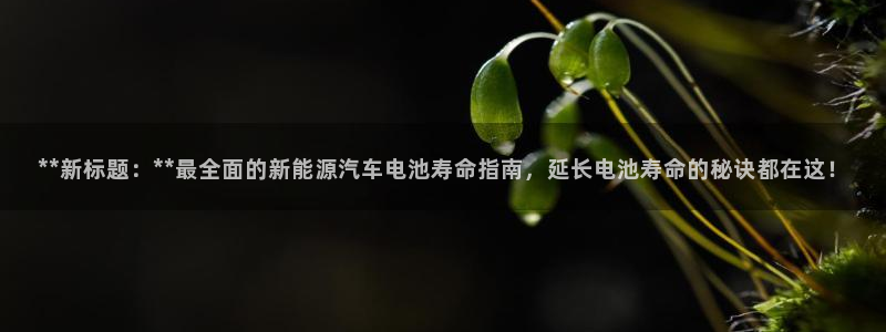 优发娱乐pc版官网