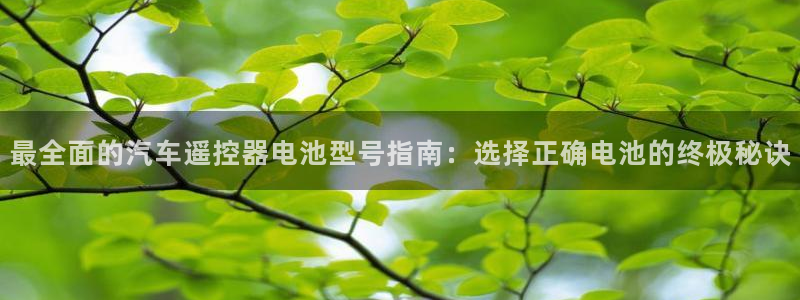 优发国际游戏17岁能玩吗