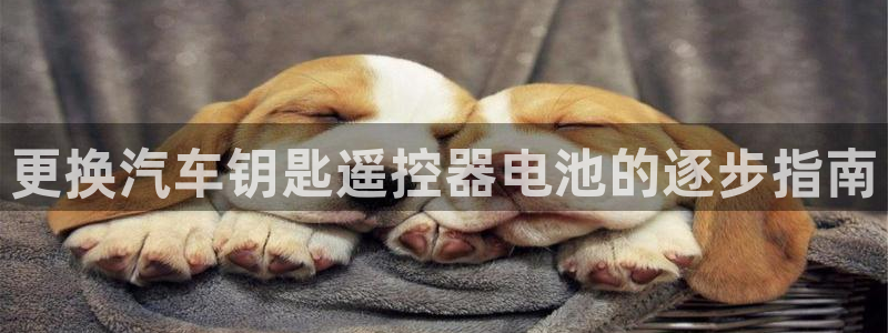 优发国际游戏n