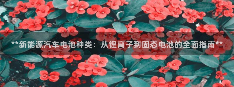 优发国际平台u8怎么样