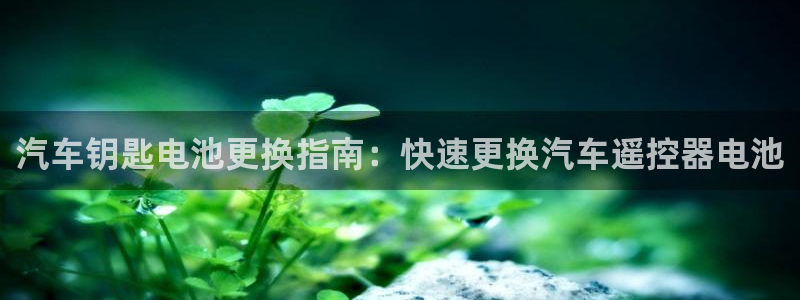 优发国际娱乐官网多少?