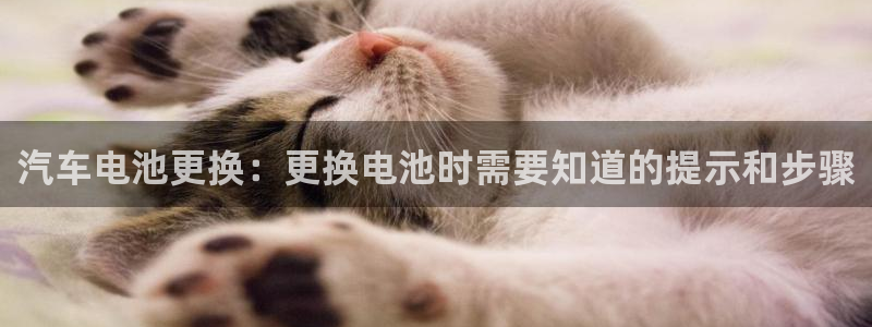优发国际是大平台吗是真的吗