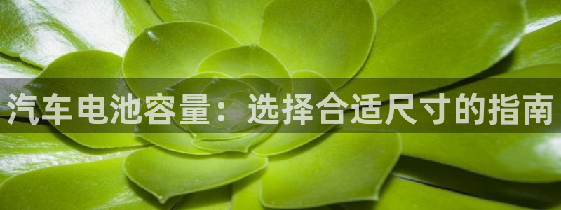 优发国际官网登陆