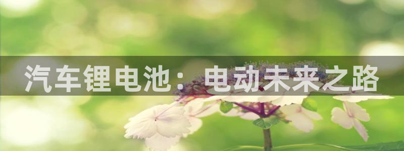 优发国际网站178