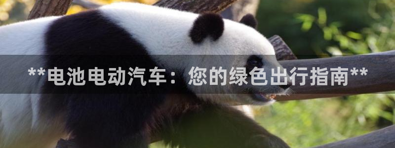 优发国际游戏官方网站