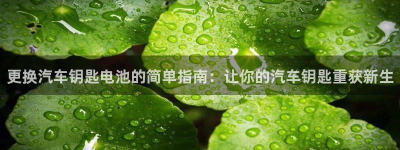 优发国际 干什么的
