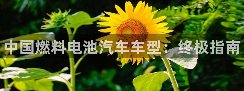 优发国际网官网17q8