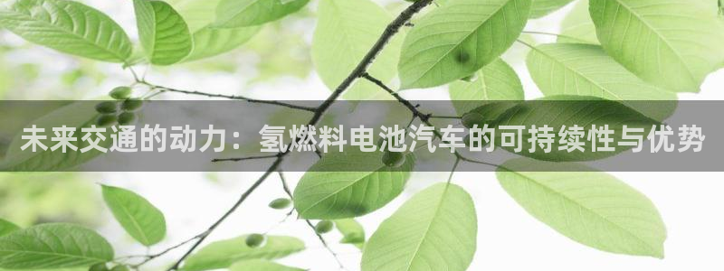 优发国际是大平台吗还是小平