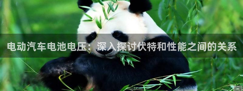 优发国际手机app下载安装官网