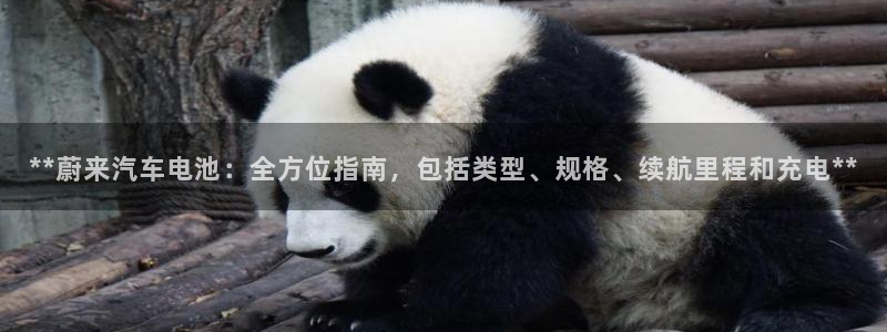 优发国际手机客户端下载安装手机版