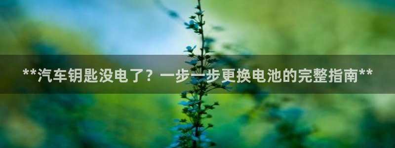 优发国际官网