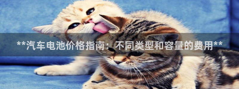 优发国际安卓版下载安装