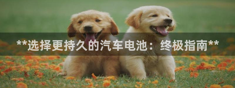优发国际合并到哪里了最新消息