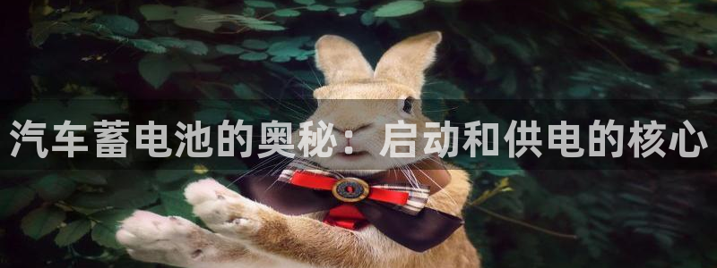 优发国际下载