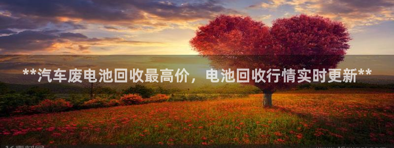优发国际游戏17岁能玩吗