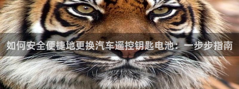 优发国际软件下载官网
