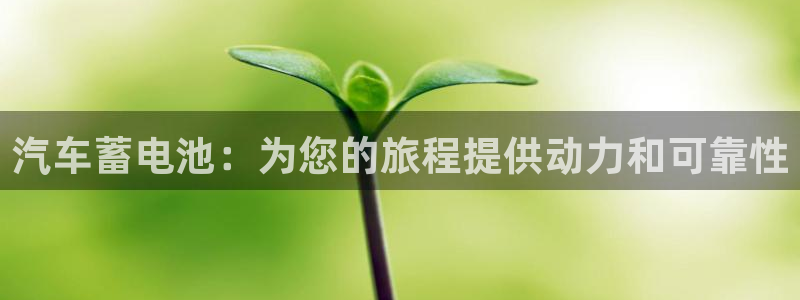 优发国际手机安装登录