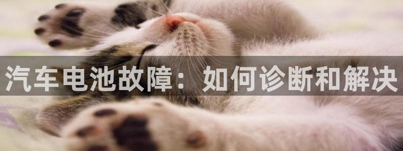 优发国际在哪里下载