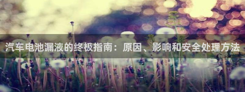优发国际手机app下载安装