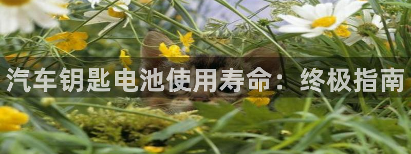 优发国际官网手机版代理