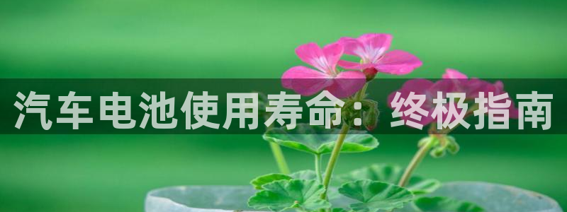 优发国际集团股份有限公司官网