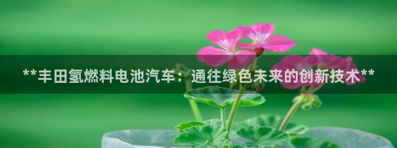 优发国际手机客户端app