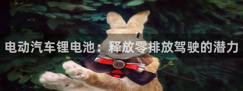 优发国际手机版客户端下载安装