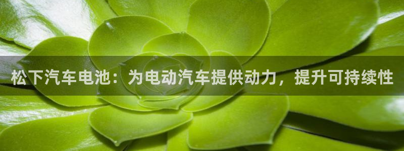优发国际bob