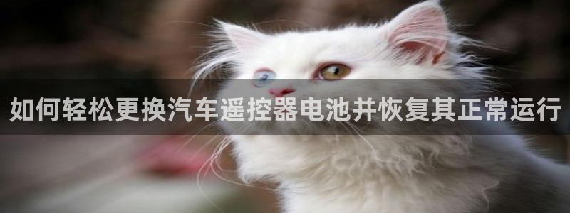 优发国际随优而动一触即发