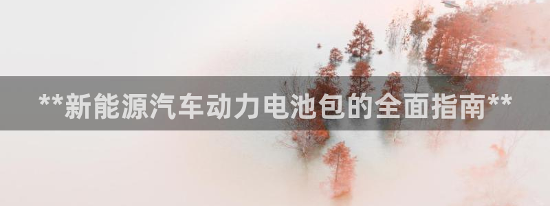 优发国际这个平台怎么样啊