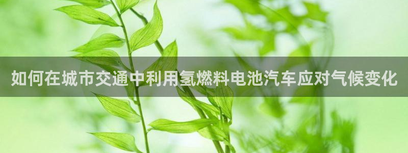 优发国际官网是多少