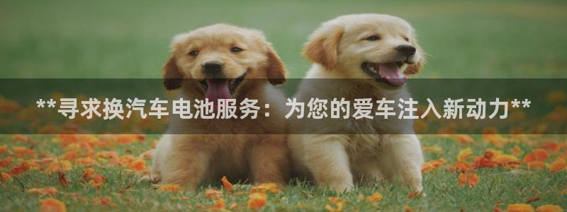 优发国际怎么样