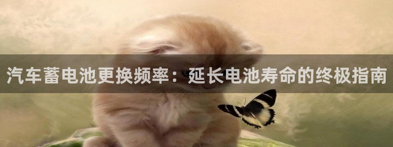 优发国际手机版唯一官网