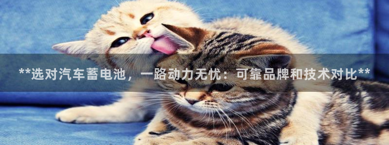 优发国际平台APP