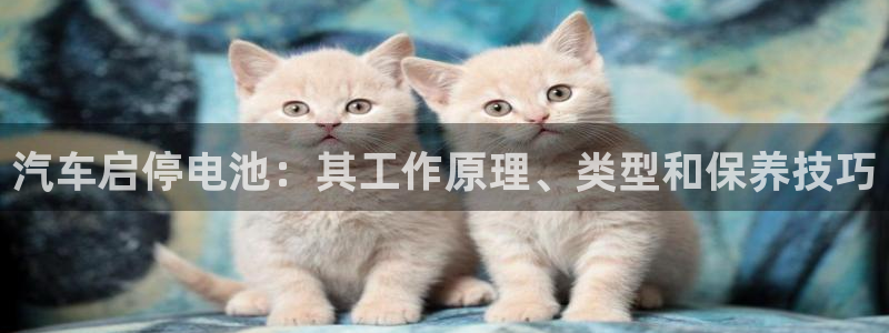 优发国际平台u8怎么样