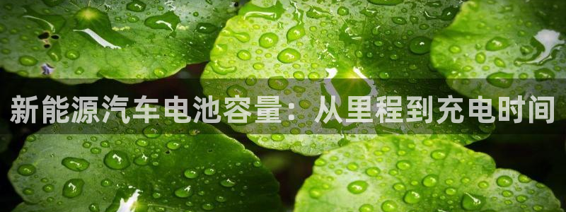优发国际官方网手机版