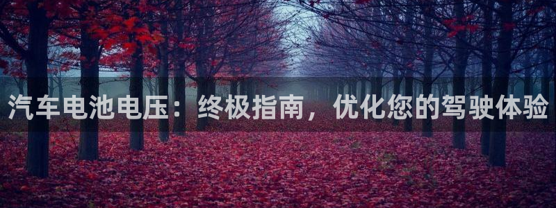 优发国际手机版客户端官网