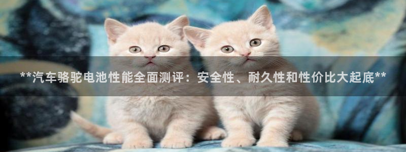 优发国际下载