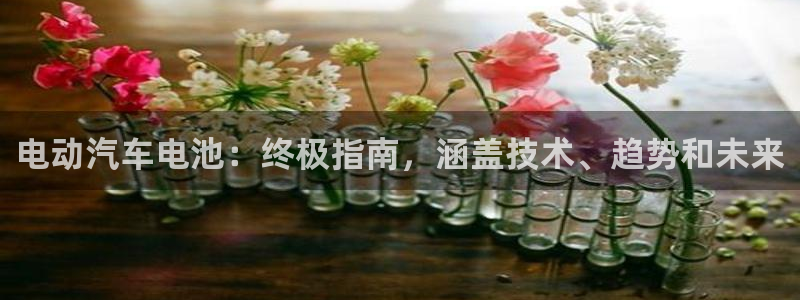 优发国际的官网是什么