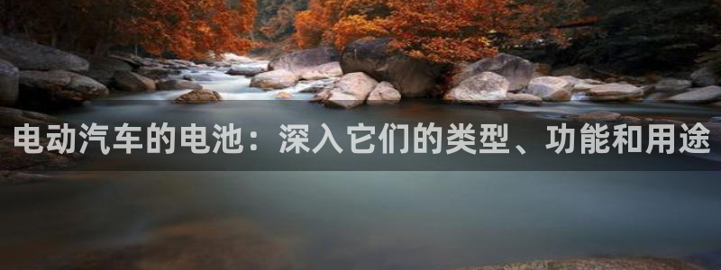 优发国际是大平台吗是真的吗
