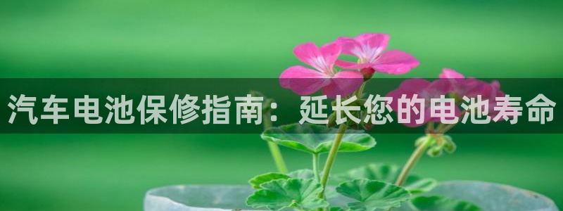 优发国际不出款怎么办
