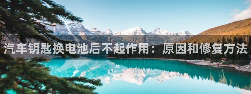优发国际是大平台吗知乎