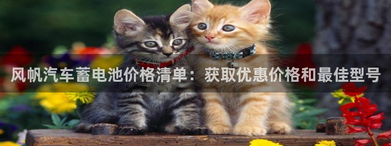 优发国际随优而动一触即发