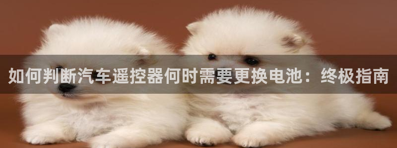 优发国际官网手机版代理