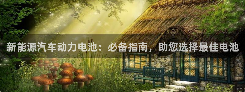 优发国际多少钱