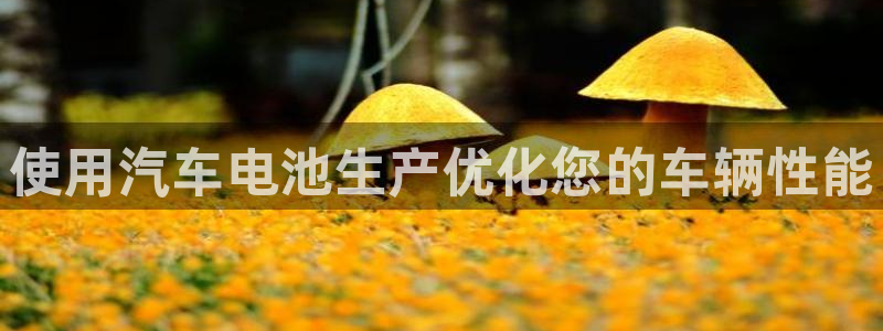 优发国际游戏网站
