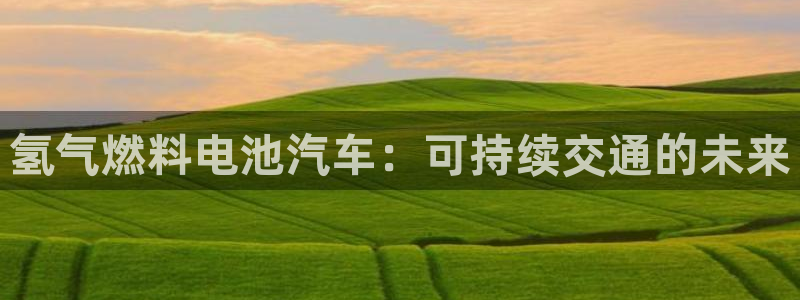 优发国际平台APP