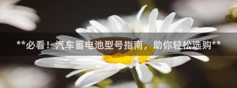 优发国际-触即发